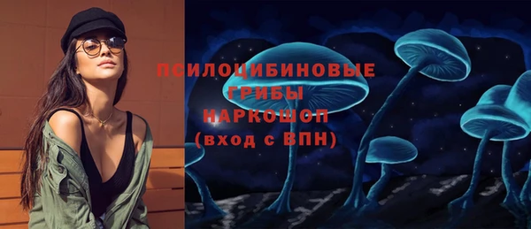PSILOCYBIN Абинск