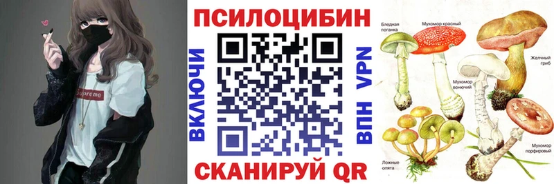 Псилоцибиновые грибы Cubensis  дарнет шоп  omg онион  Берёзовка 